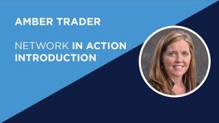 Amber Trader Introduction