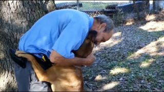 Paws For Heroes.  A Houston nonprofit making a difference in the lives of veterans and dogs.